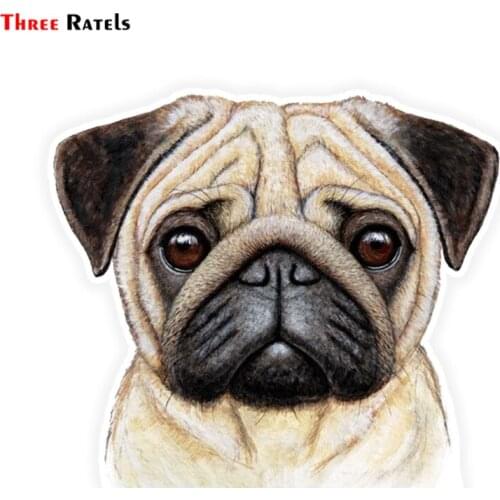 Three Ratels LCS300# 13x11.5cm Pug colorful car sticker funny stickers styling removable decal