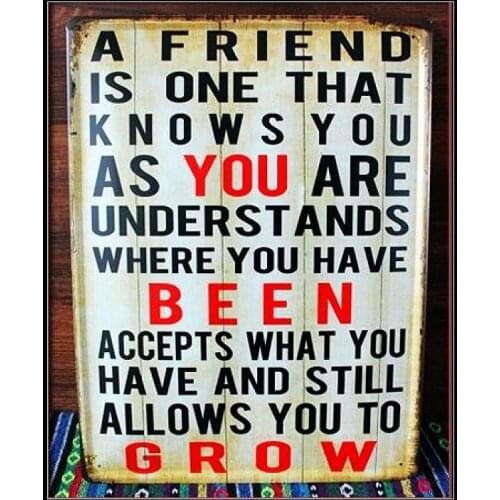 30pcs/lot Metal Sign shabby chic You been Grow Metal painting vintage wall decorative painting wall poster painting 30*40cm