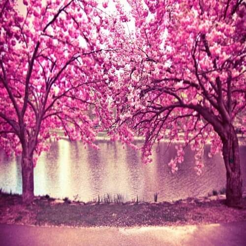 Scenery fairy photo background vinyl beauty blossom tree lake photography backdrop for photographic studio accessories F-1079