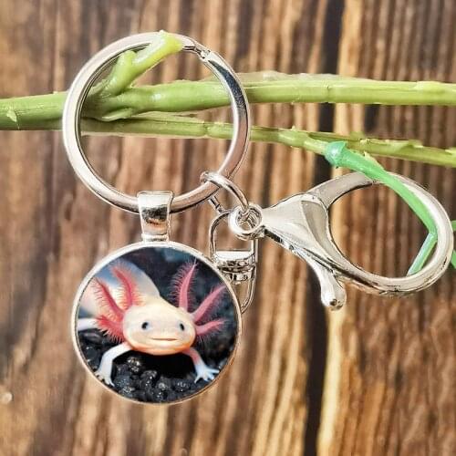 Fashion Animal Axolotl Keychain Glass Cabochon Pendant Alloy Key Chain for Axolotl Lovers Gift Exquisite Custom Photo Key Rings