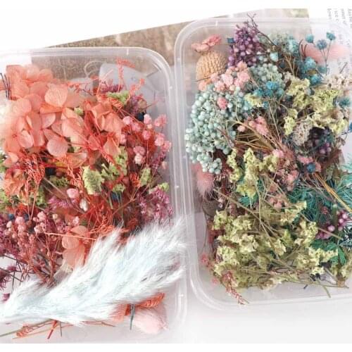 1 Box Real Dried Flower Dry Plants for Aromatherapy Candle Epoxy Resin Pendant Frame Floating Bottle Making Craft DIY Accessorie