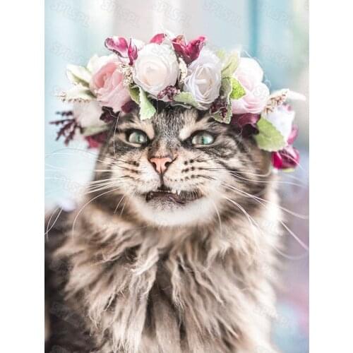 5d Diy Diamond Painting Animal Modern Domestic Pet Cat Puppet Cat Persian Cat Cute Beautiful Kitten Bedroom Decorative Painting