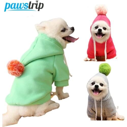 Pawstrip Sweatshirts For Dogs