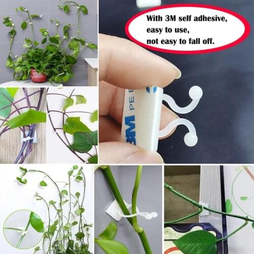 Plant Climbing Wall Self-Adhesive Fastener Tied Fixture Vine Buckle Hook Garden Plant Wall Climbing Vine Clips Fixed Buckle Hook