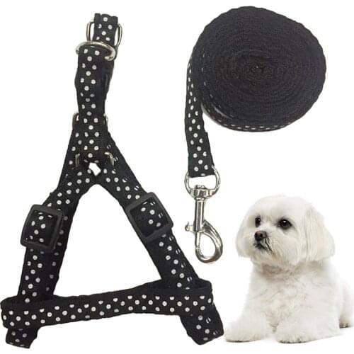 Pet Harness Leash Set Dog Cat Harness Pet Adjustable Vest Walking Lead Leash for Puppy Polyester Harness for Small Medium Dog
