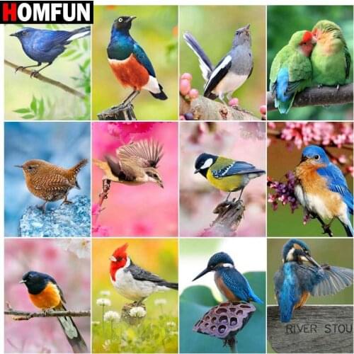 HOMFUN Paint With Diamond Embroidery "Color bird animal" Diamond Painting Full Square Round Picture Of Rhinestone Decor