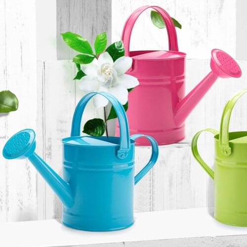 Mini Pastoral Style Water Cans Colorful Iron Flower Pot Mini Bonsai Watering Pot Garden Supplies Photo Props Garden Spray Bottle