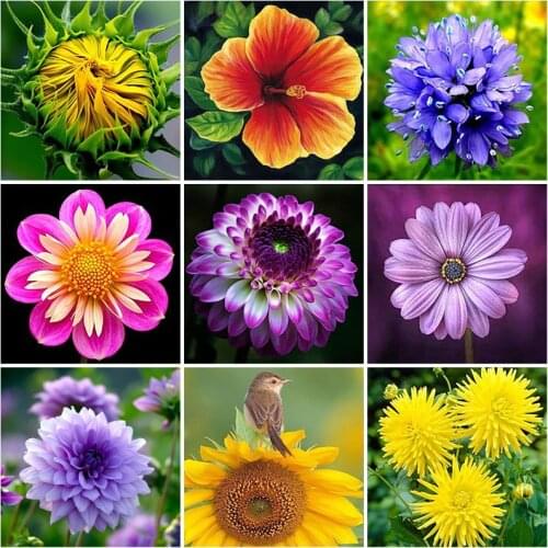 DIY Flower Rose 5D Diamond Painting Full Square/Round Drill Diamond Embroidery Cross Stitch Kit Mosaic Home Decoration Gift