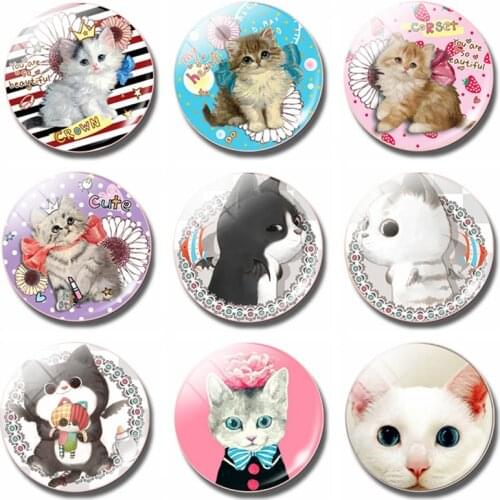 Queen of Cat Refrigerator Magnet 30 MM Glass Dome Magnet Fridge Notes Cute Kitten Message Magnetic Stickers Holder Decor