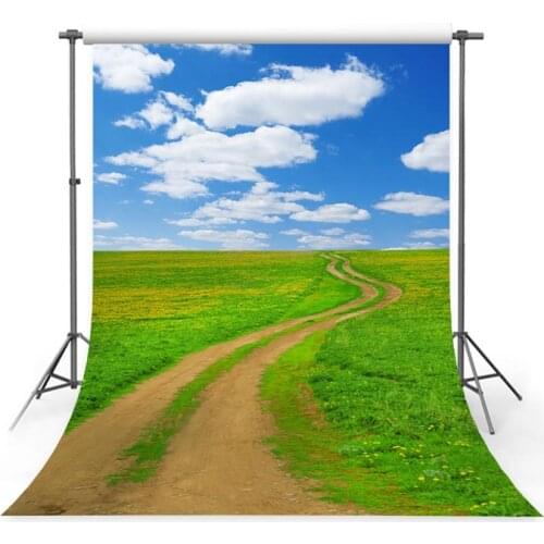 Photography Background Outdoor 10x10 Wedding Photography Backdrops Blue Sky Green Countryside Background for Photo Studio Foto