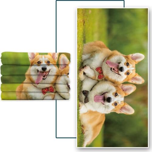 Microfine Double-Sided Fleece Absorbent Bath Towel For Outdoor Swimming With Customizable Patterns