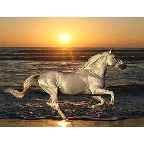 5D Diamond Painting Beach sunset landscape Needlework DIY Diamond Embroidery Horse Animal Picture Mosaic Rhinestone Icon