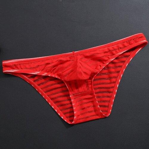 Mens Sexy Underwear Mesh Transparent Tulle Netting Boxer Briefs Low-Waisted Breathable Underpants Elastic Soft Briefs