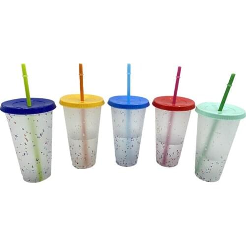 700ML PP Temperature Magical Color Change Cups Colorful Cold Water Color Changing Coffee Cup Mug Water Bottles With Straws 5pcs