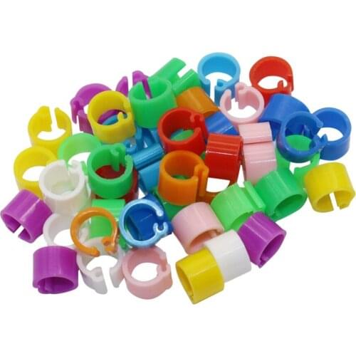 1000 Pcs Pigeons Rings Inner diameter 6mm Bayonet Identification Ring Opening No number Bird Foot Ring Bird Training Supplies