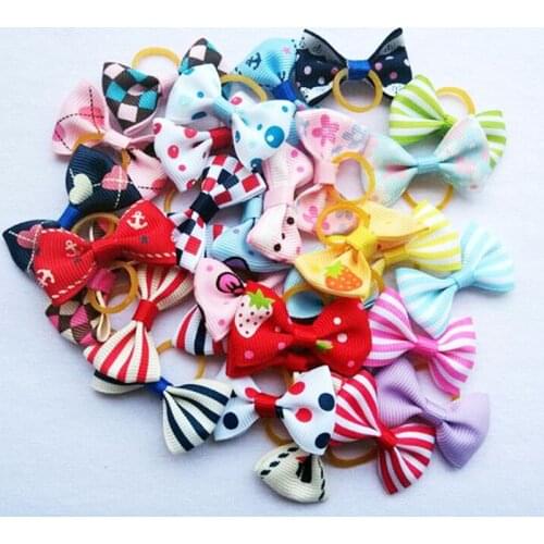 Dog Accessories Cexunmy China