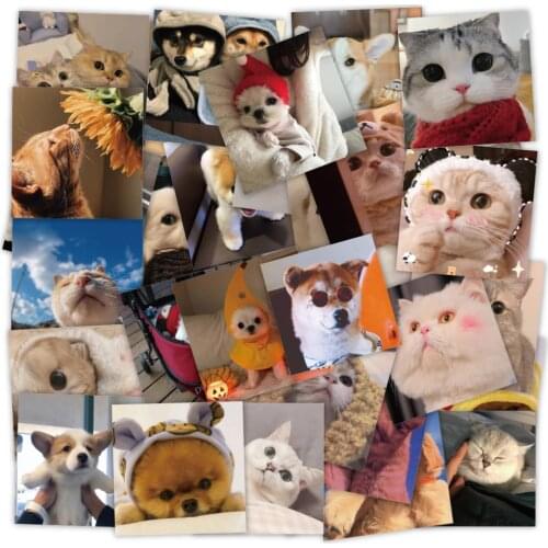 50 PCS Pets Cats and Dogs Cute Stickers Waterproof Vinyl Decal for Laptop Helmet Bicycle Luggage Guitar Car Stickers