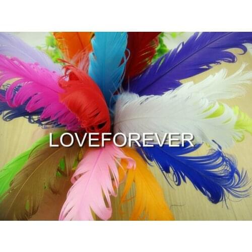 100Pcs/Lot 13 Color Selected 15-20Cm Curled Goose Feather Good as DIY Hair Accessories Baby Hairband Accessories Free shipping