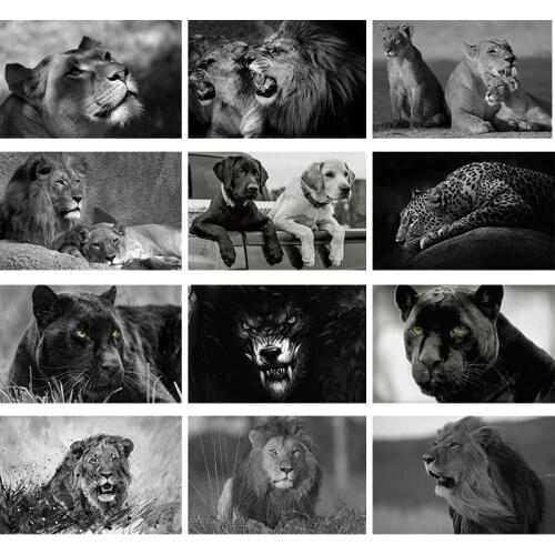 5d Diy Diamond Painting Lion Diamond Embroidery Leopard Animal Mosaic Square Diamond Cross Stitch Home Decoration