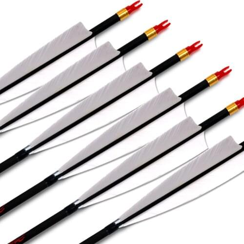 6/12pcs ID 6.2mm Spine 300 340 400 500 600 700 800 with 5 Inches White Turkey Feather Real Feather Carbon Arrow for Shooting