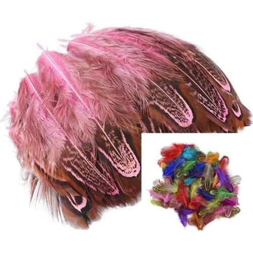 3-8CM Natural Guinea fowl Feathers for Cloth Crafts Jewelry Making Decoration Pheasant Chicken Plumes Diy Accessory 100Pcs/Pack