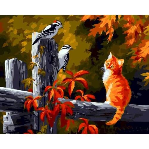 GATYZTORY Bird and Cat DIY Painting By Numbers Kit Animals Acrylic Paint By Numbers For Adult Unique Gift Home Decors Arts