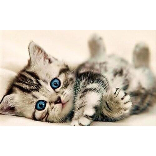 New Diamond mosaic diamond embroidery beads lovely cat animals diamonds cross stitch painting handwork kits wall decor