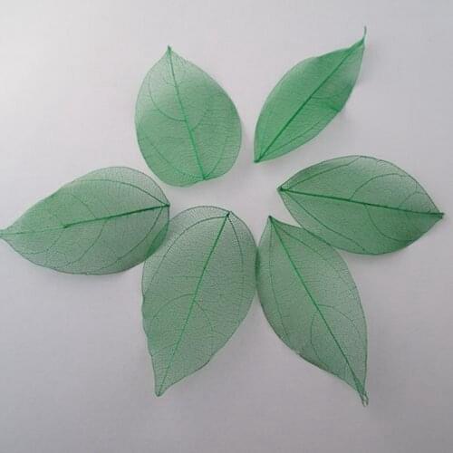 Wholesale 100pcs/Bag green colors Natural skeleton leaves for DIY and home decor Card making A2