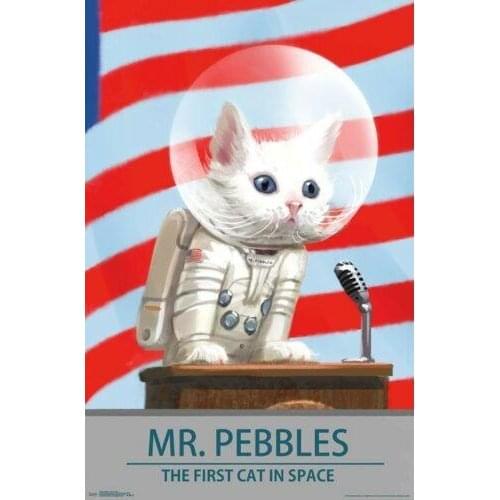 FALLOUT 4 - MR PEBBLES - VIDEO GAME SPACE CAT SILK POSTER Decorative painting 24x36inch