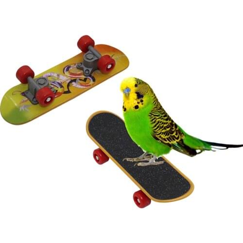 Pet Bird Supplies Pet Intelligence Foot-talon Toys Training Mini Skateboard Stand Perch for Parrot Parakeet Training supplies