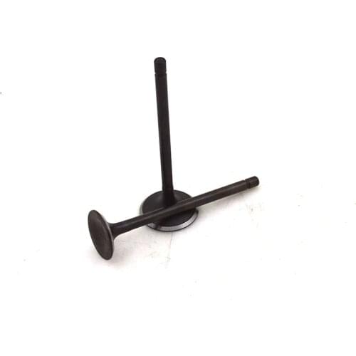 Motorcycle Engine Intake Exhaust Valve Stem Seal for HONDA ANC SCOOPY 110 ACC110 ACD110 ZOOMER 110 X ACG110 ACC ACD ACG 110