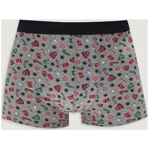 LC WAIKIKI Men's Underwear