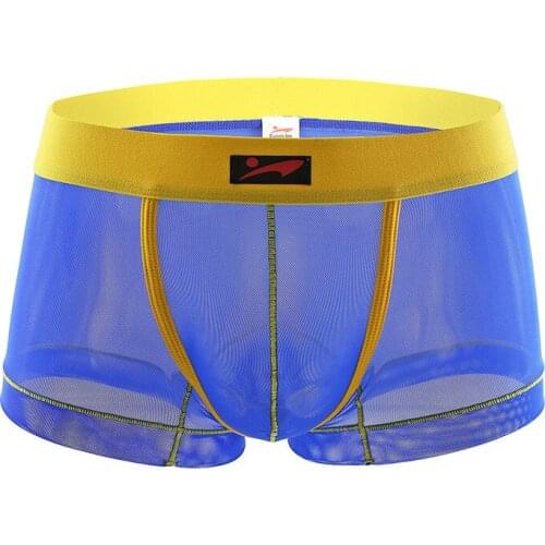 Sexy Men Underwear Boxers Shorts Thin Transparent Mesh Low-waist U Convex Pouch Underpants Cueca ropa interior hombre S M L
