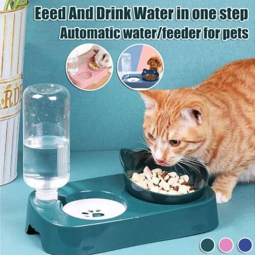 Pet Automatic Water Dispenser Cat Dog Elevated Double Food Feeder And Water Bowl With 15°Tilted Safeguard Neck comedero gato