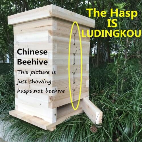 10 Pcs/Pack Beekeeping Beekeeper Beehive Stainless Steel Hasp Latch Lock Ludingkou Furniture Hardware Accessories Buckle Loaded