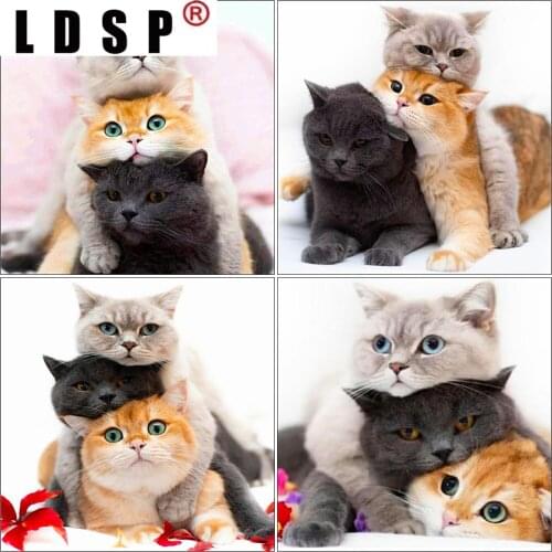 LDSP Home Decoration 5D DIY Diamond Embroidery Cat Full Square Round Diamond Painting Animals Mosaic Rhinestone