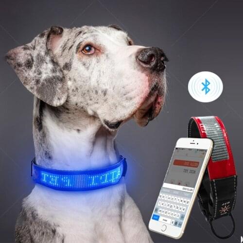 USB Charge Led Display Dog Collar Smart Bluetooth Display Light-emitting Collar Anti-Lost Pet Supplies Adjustable Dog Name Sign