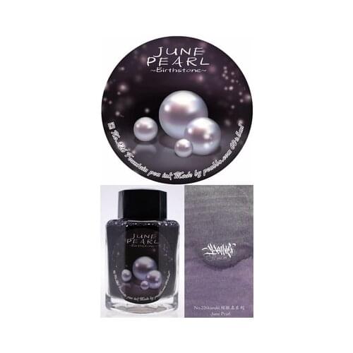 Chinese Style Ink PENBBS Color INK Dip Pen Color Ink, Fountain Pen Color Ink 60ml/bottle