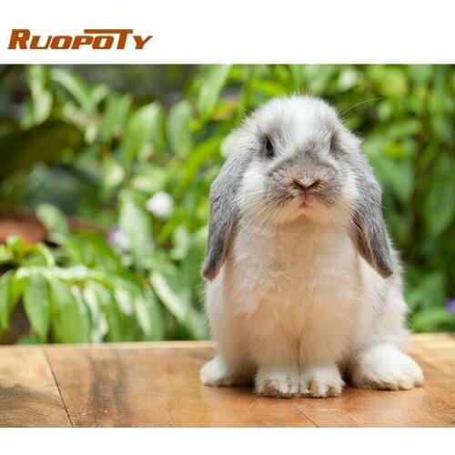 RUOPOTY Full Drill Diamond Painting Rabbit Diamond Art Mosaic Animal Embroidery Farmhouse Home Decoration
