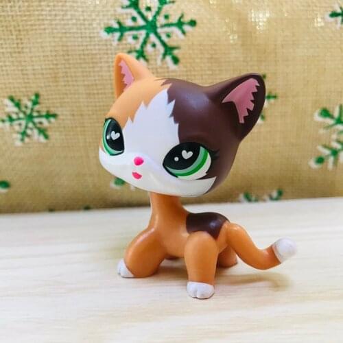 Custom Shorthair Cat Yellow and Brown Heart Green Eyes with Accessories Drinks Cake Kids Gift