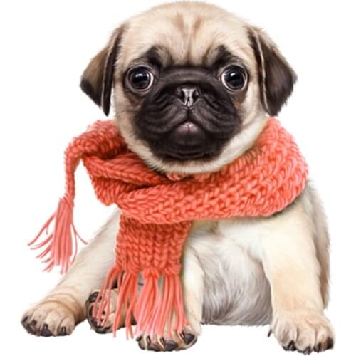 Coolest Creative Stickers for Car Accessories Lovely Boston Dog Motorcycle Decals Car Stickers Vinyl KK Pvc 13cm X 11.3cm