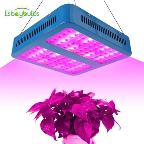 Esbaybulbs Professional Lighting