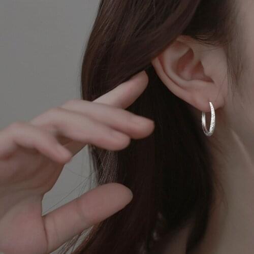 A Girl' Minority Design Shiny Circle Earring Light Luxury Geometry Gypsophila Earring For Women Girl Earring Fashion Jewelry