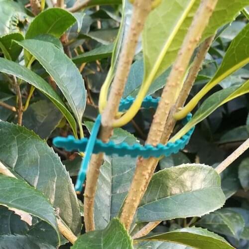 60Pcs Adjustable Gardening Plant Wrap Tie Plant Pot Vines Tied Tool Strapping Buckle for Patio Workshop Items Fixing, 23cm/9.1"
