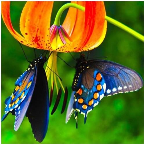 A12022 11CT/14CT/18CT/25CT/28CT night snowing patterns Counted Cross Stitch DIY Cross Stitch Kits Embroidery Needlework Sets