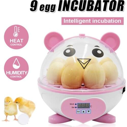 Home Use Digital Mini Egg Hatching 9 Eggs Incubator Automatic Temperature Control Hatcher For Chickens Ducks Birds