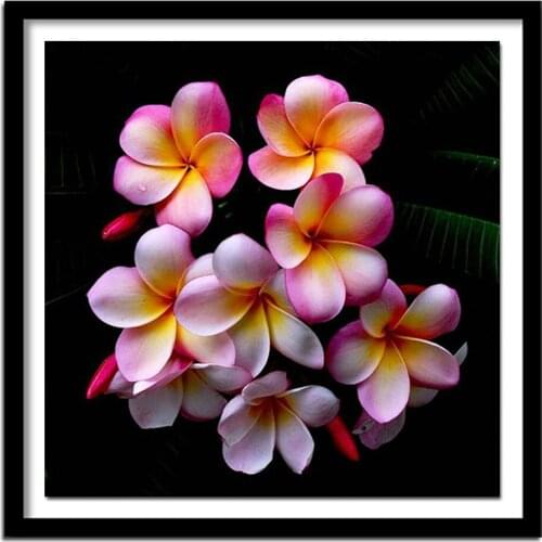 Full diamond embroidery Pink flowers picture diamond Painting Needlework cross stitch diamond gift Home Decoration ASF456