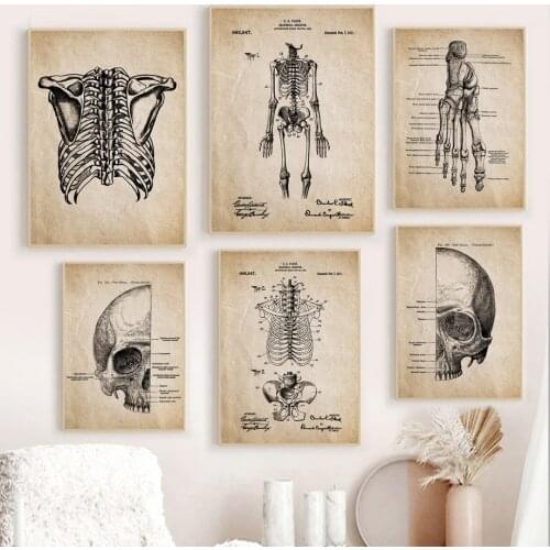 Anatomy Skeleton Foot Hand Spine Skull Vintage Art Canvas Painting Nordic Posters And Prints Wall Pictures Doctors Office Decor