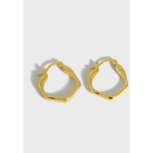SHANICE 100% 925 Sterling Silver Hoop Earrings Small design minimalist irregular convex and concave geometric polygon Charming