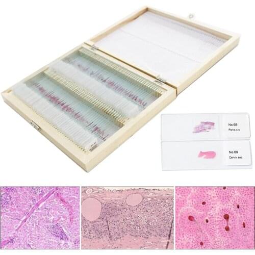 100PCS Human Histology and Embryology Prepared Physiological Slices Specimen Scetion Microscope Slides for Medical Study